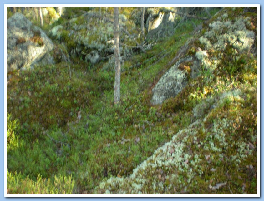vatpakka 176